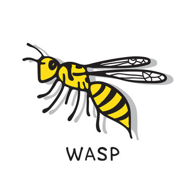 wasp-07