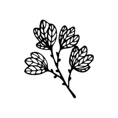 Hand drawn branch of a tree isolated on a white background. Doodle, simple outline illustration. It can be used for decoration of textile, paper and other surfaces.