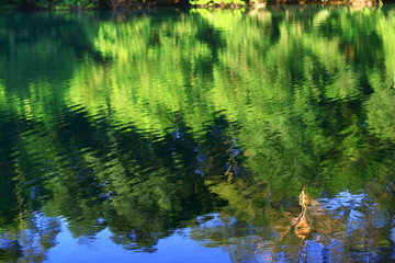3 Aug 2008 a River in Shing Mun Reservoir, Hong Kong