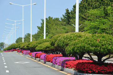 Road median flower bed and streetlamp
