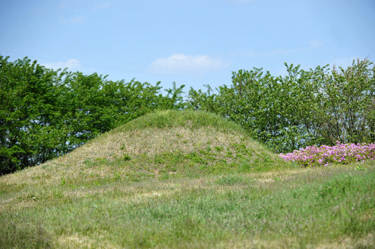 Ancient Tombs at the Silla peroid in Sinsang-ri, Gyeongsan-si, Gyeongsangbuk-do, South Korea.