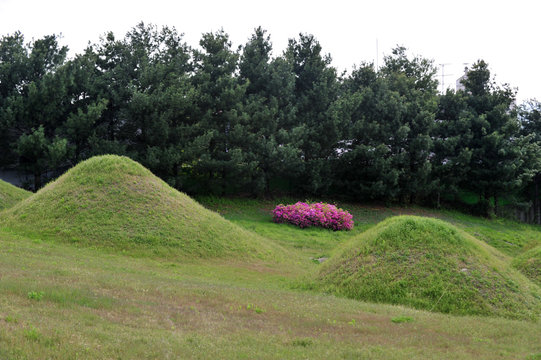 Ancient Tombs at the Silla peroid in Sinsang-ri, Gyeongsan-si, Gyeongsangbuk-do, South Korea.