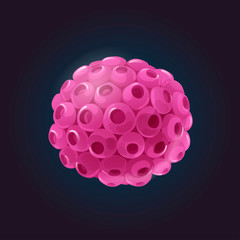 Cartoon vector model of external structure of HPV