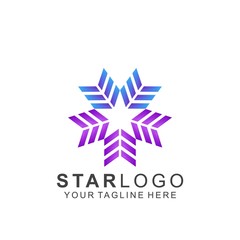 Colorful Star Logo Design