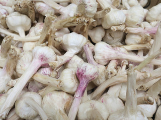 collection of garlic bulbs for sale on a market