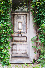 Old door in Ghent Belgium
Edit
