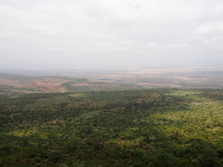 Fototapeta na wymiar Africa's Wilderness, Safari, Game Drive, Maasai Mara, Kenya
