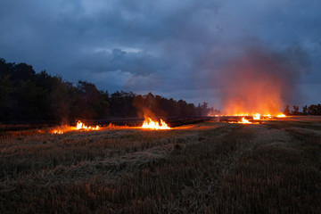 Evening fire on a field with dry grass. Dry wheat burns at night. Thunderclouds in the background.