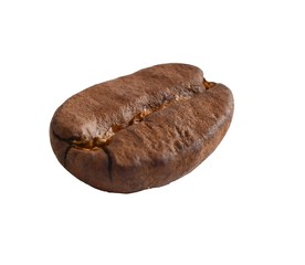 Coffee bean on white background.