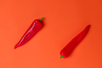 Flat lay view of hot red chili peppers. Food background. Copy space. Bright red orange background. Design banner.