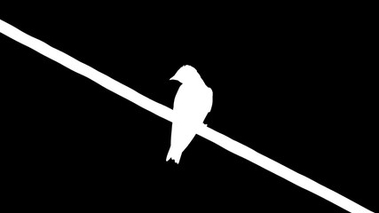 Silhouette of a bird with black background
