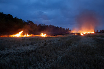 Evening fire on a field with dry grass. Dry wheat burns at night. Thunderclouds in the background.