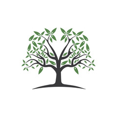 Obraz premium Tree Vector ,hand drawn, illustration of Olive tree vector design template