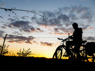 Fototapeta na wymiar Cyclist silhouette on a green road at Seville