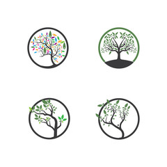 Tree Vector ,hand drawn,  illustration of  Olive tree vector design template