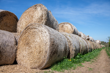 Great British countryside
