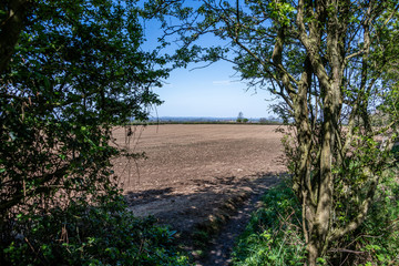 Great British countryside