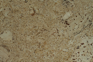 balsa wood, cork wood, background, nature, loft style