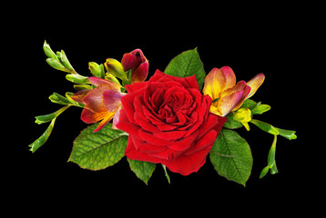 Red rose  and freesia flowers in a floral arrangement