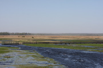 landscape backwaters of the river Narwiański Park Narodowy