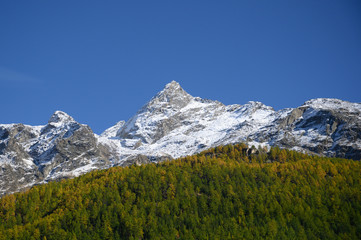 Fototapeta na wymiar Beautiful autumn, snow-capped mountains and blue sky.