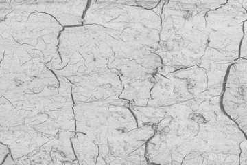 Background of dry cracked soil dirt or earth during drought.