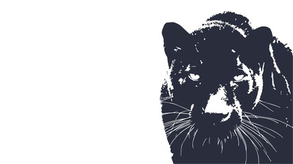 Panther walking from dark. vector Logo design