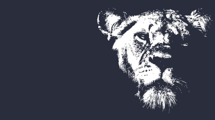 Lion head in colors trends. vector Logo design
