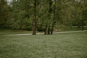 Stadtpark, Frühling, grüne Idylle, analog