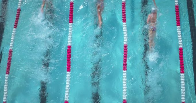 Drone view of swimmers in pool