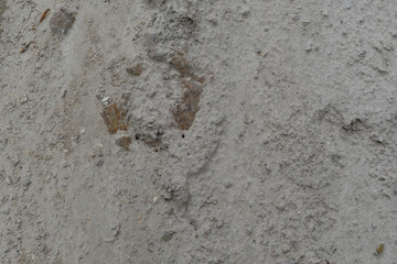 Feinkörniger Sand 