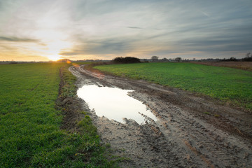 Fototapeta premium Puddle after rain on a muddy dirt road, green fields and clouds during sunset