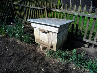 wooden box in a garden