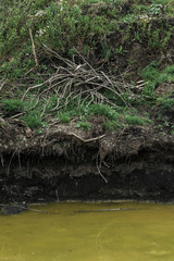 yellow water of a lake with a black shore