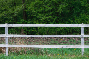 white fence enclosing the forest
