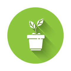 White Plant in pot icon isolated with long shadow. Plant growing in a pot. Potted plant sign. Green circle button. Vector Illustration
