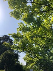公園