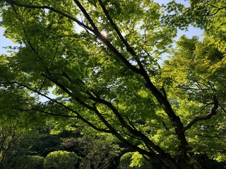 公園