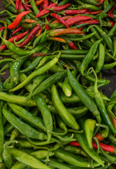 Green and red chili on a counter top of a store during food festival market.
