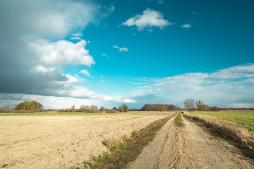 Fototapeta na wymiar Dirt road and plowed field, horizon and white clouds on blue sky