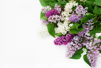 Bouquet of colorful lilac, copy space