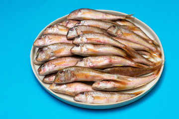 Black sea fish, the red mullet in a white ceramic bowl on a blue background. A lot of barabulka fish