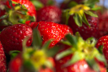 Background of ripe strawberries in selective focus. Fresh ripe strawberries. Beautiful background of red strawberries. Ready-to-eat strawberries close-up on the table.