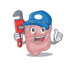 Verrucomicrobia Smart Plumber cartoon character design with tool