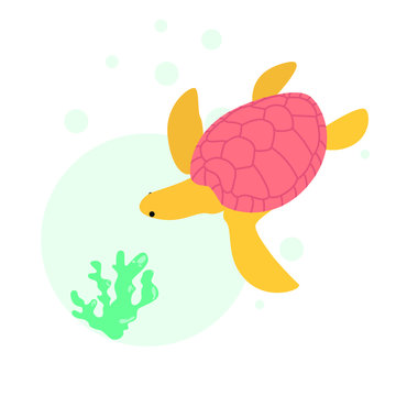 Turtle vector isolated flat illustration. Coral reef.