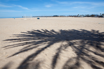 View of a deserted beach on a hot sunny day. Valencia, Spain. The shadow of a palm tree