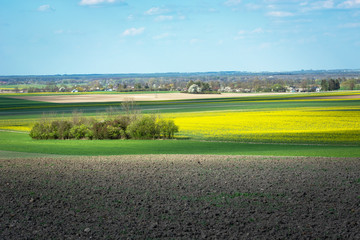 Obraz premium Panorama of sunlit farmlands, trees and blue sky