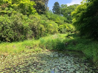 湖