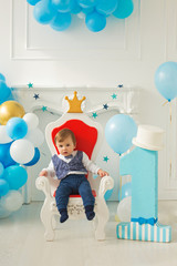 First birthday boy at his  party