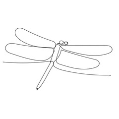 vector, on a white background, dragonfly, insect, continuous line drawing